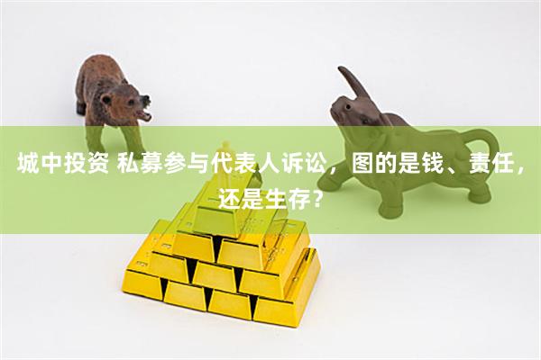 城中投资 私募参与代表人诉讼，图的是钱、责任，还是生存？