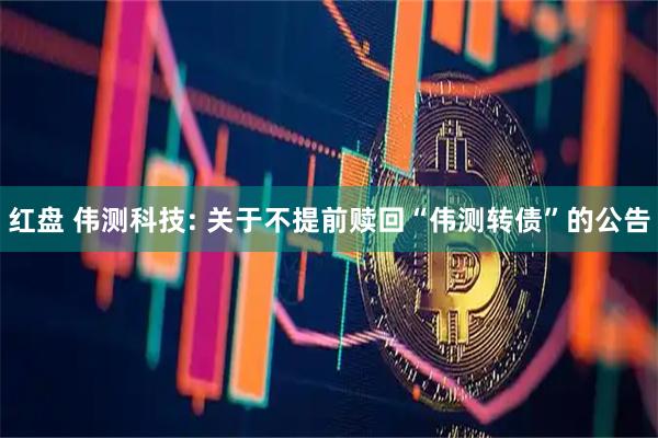 红盘 伟测科技: 关于不提前赎回“伟测转债”的公告