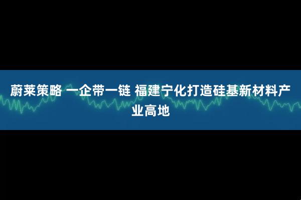 蔚莱策略 一企带一链 福建宁化打造硅基新材料产业高地