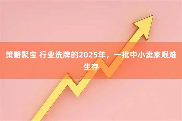 策略聚宝 行业洗牌的2025年，一批中小卖家艰难生存