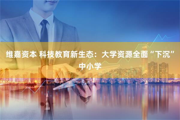 维嘉资本 科技教育新生态:大学资源全面“下沉”中小学