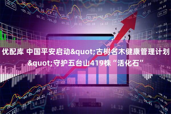 优配库 中国平安启动"古树名木健康管理计划"守护五台山419株“活化石”